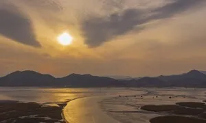 환경·문화 단체 부산 유네스코 회의장 앞서 “한국, 세계 유산 보존 실패”