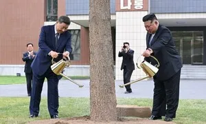 “시진핑-김정은, 북중동맹 현대화…지역·가치·포괄 동맹 변신 중”