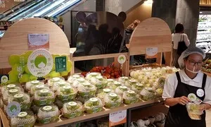 한국 수출 포도 90% 경북산…샤인머스캣 비중이 99%