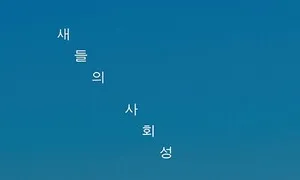 7월 31일 문학 새 책