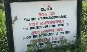 DMZ 3명 부상, 합참 “지뢰 가능성”…폭발물 종류 조사