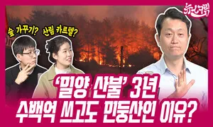 밀양 산불 3년, 수백억 쓰고도 여전히 민둥산인 이유? [뉴스크림]