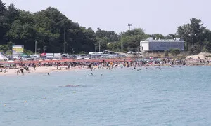 낮 기온 30도 이상…오후엔 일부 지역에 비