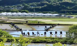 먼저 마음을 내는 사람 [똑똑! 한국사회]