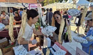 K-인삼의 날, 세계유산 등재 추진… 수출 확대에 사활 건 인삼