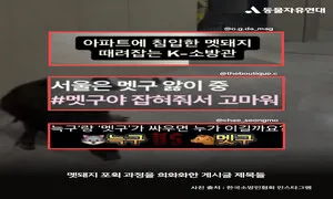 꽃사슴도, 멧돼지도 ‘유해 동물’…누가 낙인찍었나 [정진아의 다르지만 함께]