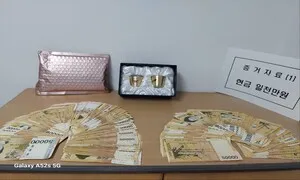 ‘당내 경선 승리가 곧 당선증’ 전남·경북이 선관위 고발 1·2위