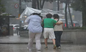 남부·제주도·동해안에 비…낮 최고기온 30도