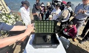 일제 조세이탄광 희생자 DNA 한국에 전달…84년만의 귀환 이뤄질까