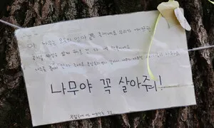[포토] “나무야 꼭 살아줘”…부암동 주민들, 환기미술관장 ‘은행나무 독살 의혹’ 고발