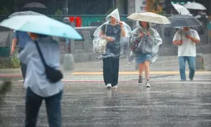 7월 첫날 장마 시작…낮 최고 33도 후텁지근