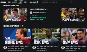 울화통 월드컵…‘치지직’은 웃었다