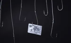 온라인 쇼핑몰 결제창에 ‘가짜 페이지’…카드정보 5707건 탈취