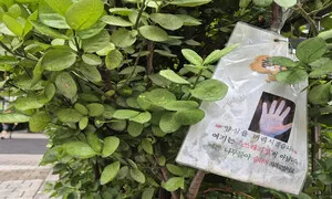 숨 쉬는 양심 [포토에세이]