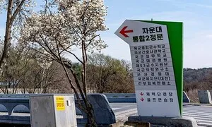 국군사관학교가 자리잡을 ‘자운대’는 대학교가 아닙니다