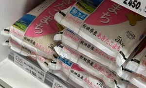 일본, ‘식료품 소비세’ 내년부터 2년간 8%→1%…여행객도 부담 줄어
