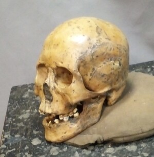 Human skull found at Devil’s Gate Cave