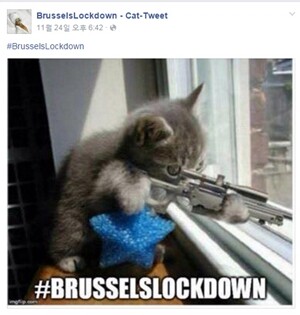 ‘Brussels Lockdown’ 페이스북 갈무리