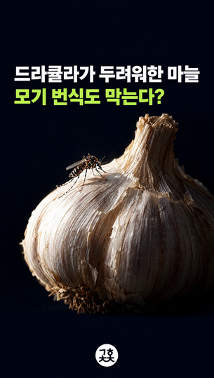 한겨레 과학 유튜브 ‘과학촙촙’ 첫회 썸네일 이미지.