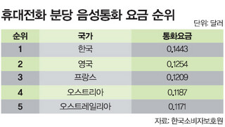 휴대전화 분당 음성통화 요금 순위