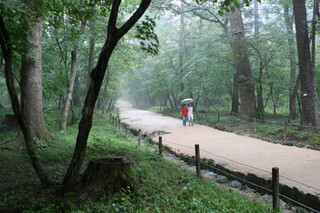 국립수목원