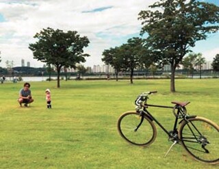 남편은 아이를 업고 자전거 타기를 즐긴다. 한강을 산책하는 남편과 아이. 송채경화 기자