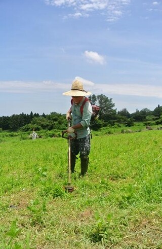 조민준(32)씨는 제주시 애월읍 고성리에서 농사를 짓는다. 그는 “몸으로 때우는 게 젤 쉽다”고 말했다.