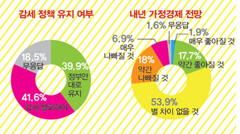 감세 정책 유지 여부 및 내년 가정경제 전망