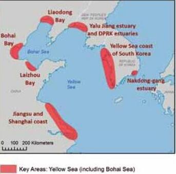 Key Areas in Yellow Sea