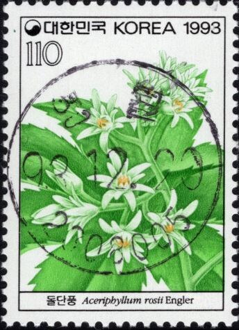 우리나라의 아름다운 자생식물을 국내외에 널리 알리고자 과거 체신부에서 1990년부터 1997년 사이에 발행한 야생화 시리즈 기념우표 중 1993년 4집에 소개된 식물이 돌단풍이다. 우문관