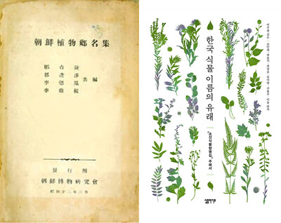 1937년 조선박물연구회에서 펴낸 <조선식물향명집>의 속지(왼쪽), 2021년 8월15일 나온 <한국 식물 이름의 유래>(오른쪽) 표지. 심플라이프 제공