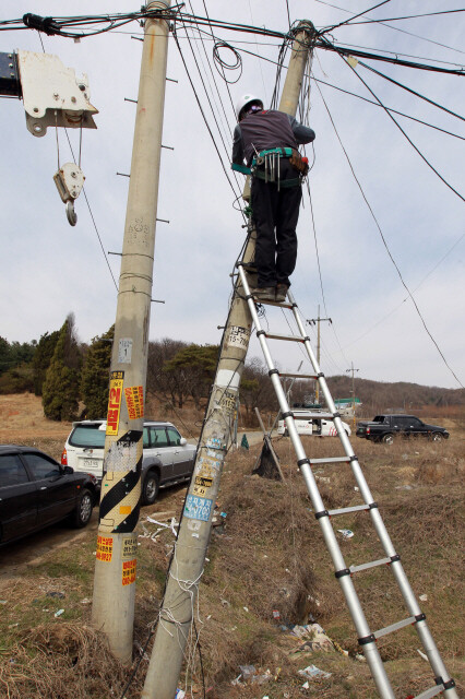 쓰러진 전주를 바로 세우려고 전주 위에서 작업을 하고 있다.