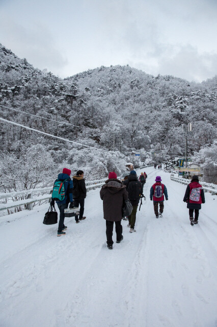 강원도 홍천에서 간밤에 내린 폭설로 끊긴 도로를 걸어나가고 있다. 