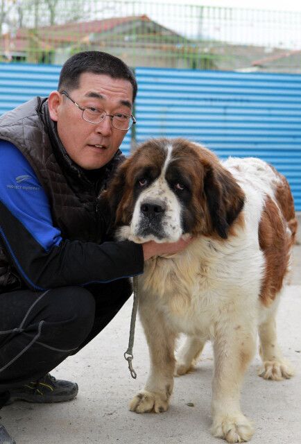 유기견 보호소 ‘행복한 강아지들이 사는 집’은 정부나 관련 단체 등에서마저 외면당해 안락사 위기에 처한 개들이 입소해 있다. 박운선 소장의 바람은 나이가 많거나 덩치가 커서 입양을 가지 못해 보호소에 머물 수밖에 없는 개들이 우리에서 벗어나 넓은 마당에서 실컷 뛰어놀 수 있게 되는 것이다. <한겨레21> 정용일