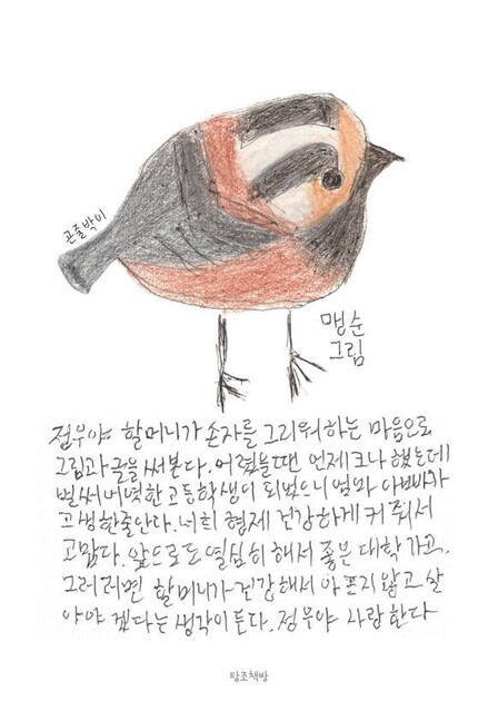 맹순씨가 그린 곤줄박이 그림. 탐조책방 제공