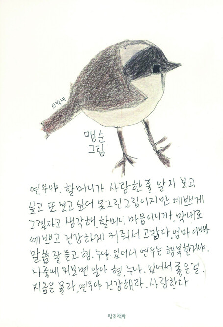 맹순씨가 그린 쇠박새 그림. 탐조책방 제공