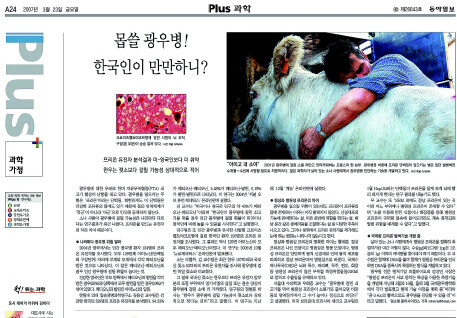 이명박 정부가 들어서기 전까지 보수언론은 광우병 위험을 보도하며 국민의 건강을 걱정했다. '한국인이 광우병에 취약하다'는 학설을 소개하는 <동아일보> 2007년 3월23일치 보도.