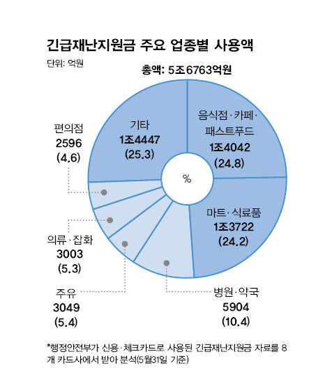 *행정안전부가 신용·체크카드로 사용된 긴급재난지원금 자료를 8개 카드사에서 받아 분석(5월31일 기준)