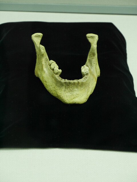 충남 홍성 가톨릭 내포성지에 전시된 성김대건신부의 턱뼈. 조현 종교전문기자
