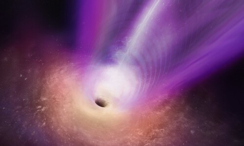 ‘사건의 지평선’ 너머 1600억km 블랙홀 ‘초거대 그림자’ 발견