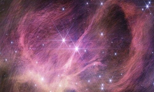 별의 하한선은 어디?...제임스웹이 역대 최소 ‘갈색왜성’을 발견했다