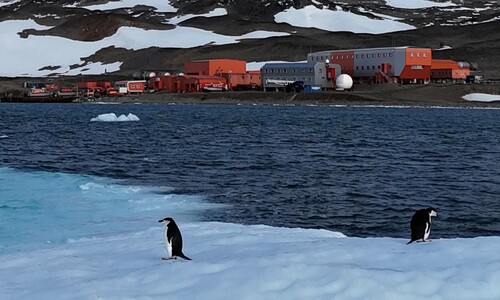 남극 지키는 펭귄 그리고 열정 가득한 비펭귄동물들
