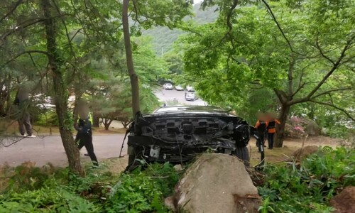 시동 직후 바위와 충돌한 전기차…2명 사망, 2명 부상