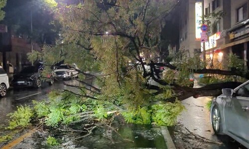 전국 호우 피해 잇따라…2일에 큰 비 온다