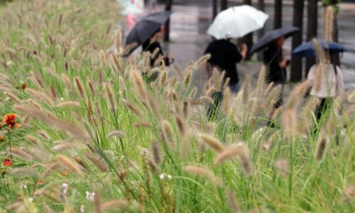 추석 연휴 월요일도 ‘체감 35도’ 찜통…오전부터 천둥 동반 빗줄기