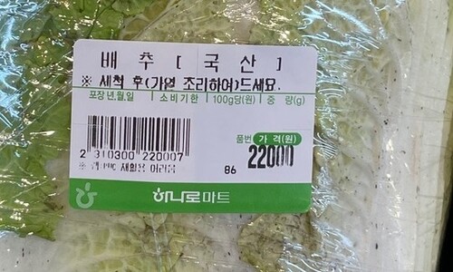 이거 가짜 뉴스 아냐?…배추 한포기 ‘2만원’