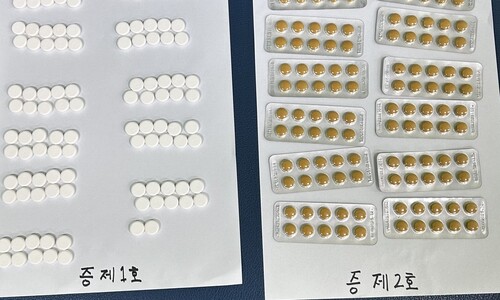 서울 대림 잡화점서 ‘마약 함유 진통제’ 팔던 중국인 붙잡혀