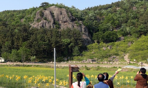 “봉하마을, 뒷산 투신” 중학교 시험 지문 논란…경남교육청 “유감”