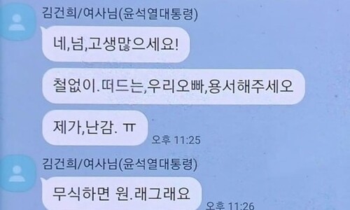 “김건희 ‘남편 오빠’면 바보, ‘친오빠’면 농단”…명태균 카톡 파문