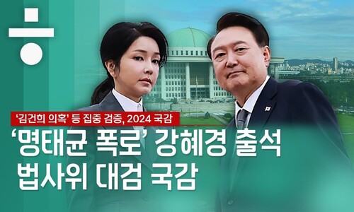 [생중계] ‘명태균 폭로’ 강혜경 출석...대검찰청 국감 진행 중